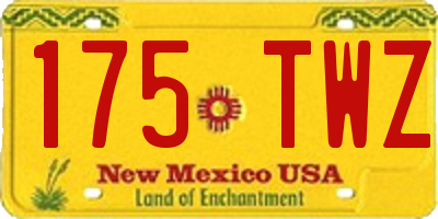 NM license plate 175TWZ