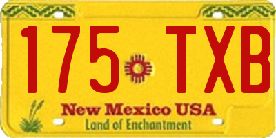 NM license plate 175TXB