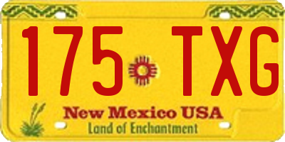 NM license plate 175TXG