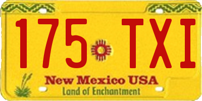 NM license plate 175TXI