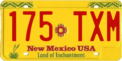 NM license plate 175TXM