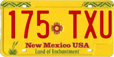 NM license plate 175TXU