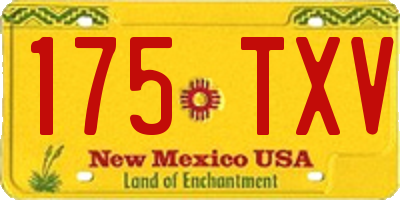 NM license plate 175TXV