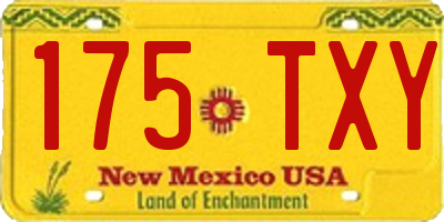 NM license plate 175TXY