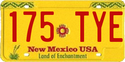 NM license plate 175TYE