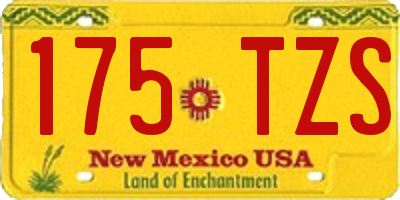 NM license plate 175TZS