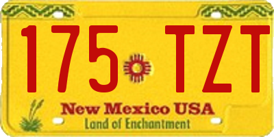 NM license plate 175TZT