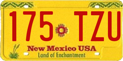 NM license plate 175TZU