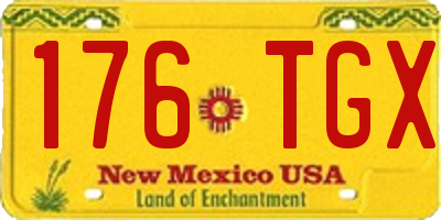 NM license plate 176TGX