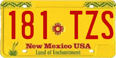 NM license plate 181TZS