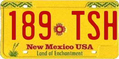 NM license plate 189TSH