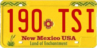 NM license plate 190TSI