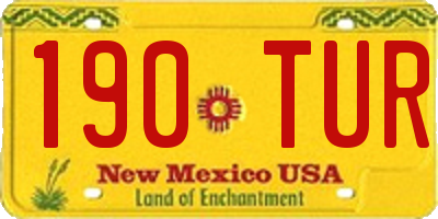 NM license plate 190TUR