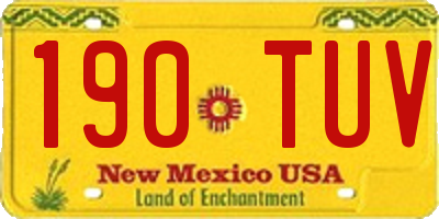 NM license plate 190TUV