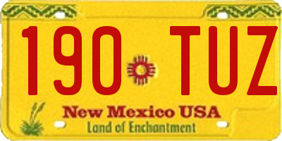 NM license plate 190TUZ