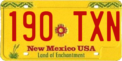 NM license plate 190TXN