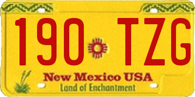 NM license plate 190TZG