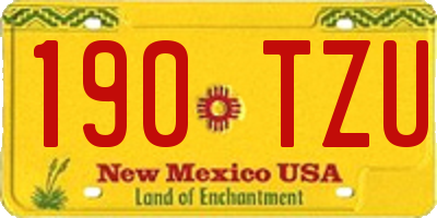 NM license plate 190TZU