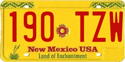 NM license plate 190TZW