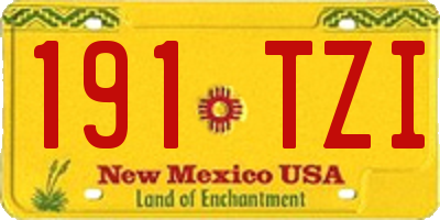 NM license plate 191TZI