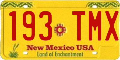 NM license plate 193TMX