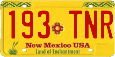 NM license plate 193TNR