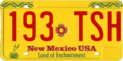 NM license plate 193TSH