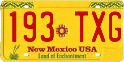 NM license plate 193TXG