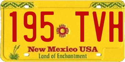 NM license plate 195TVH