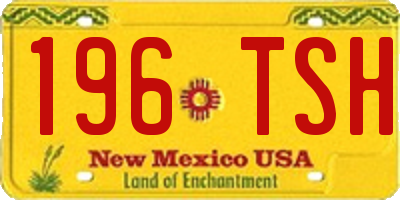 NM license plate 196TSH