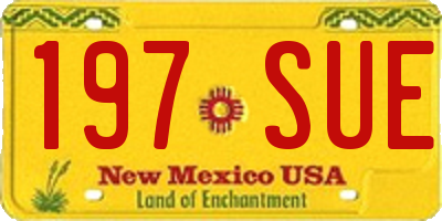 NM license plate 197SUE