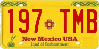 NM license plate 197TMB