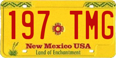 NM license plate 197TMG