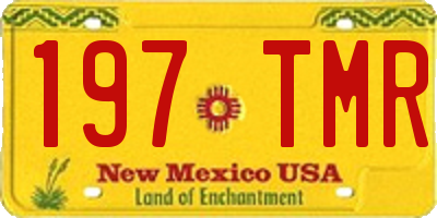 NM license plate 197TMR
