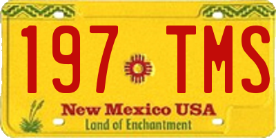 NM license plate 197TMS