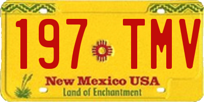 NM license plate 197TMV