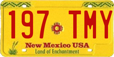 NM license plate 197TMY