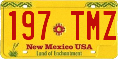 NM license plate 197TMZ
