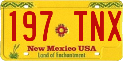 NM license plate 197TNX