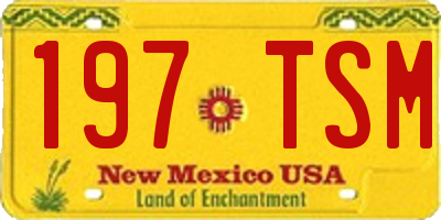 NM license plate 197TSM