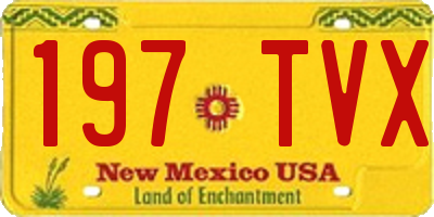 NM license plate 197TVX