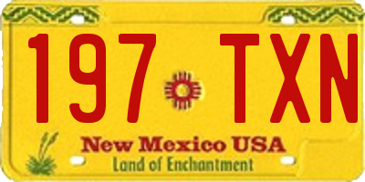 NM license plate 197TXN