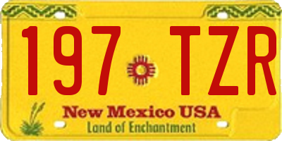 NM license plate 197TZR