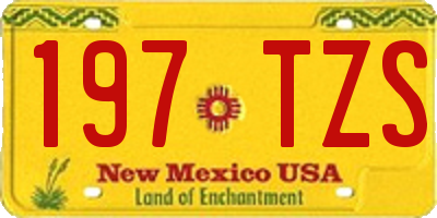 NM license plate 197TZS