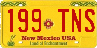 NM license plate 199TNS