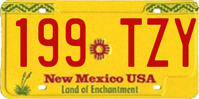 NM license plate 199TZY