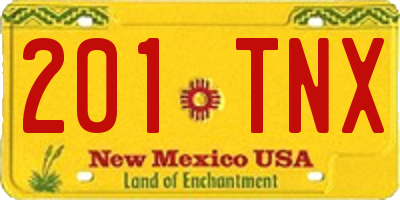 NM license plate 201TNX