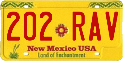 NM license plate 202RAV