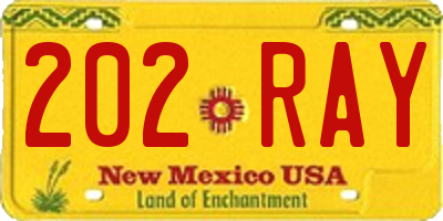 NM license plate 202RAY