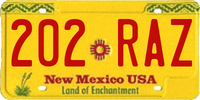 NM license plate 202RAZ